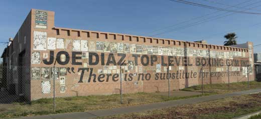 joe diaz top level gym